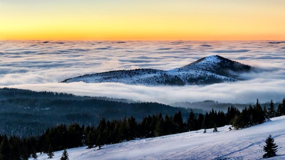 Apartman Premier 32 Milmari Kopaonik Eksteriør bilde